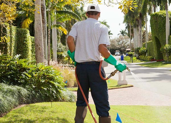About Oriental NC Pest Control